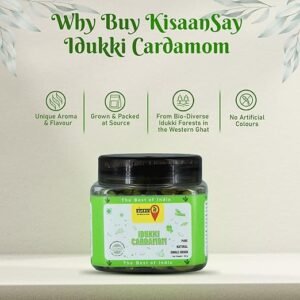 Idukki Cardamom 100 gm | Bold Size (7 to 8 mm) | Natural Elaichi | Distinctive Flavour & Aroma | No Artificial Colors | elaichi green